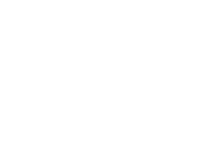 logo2